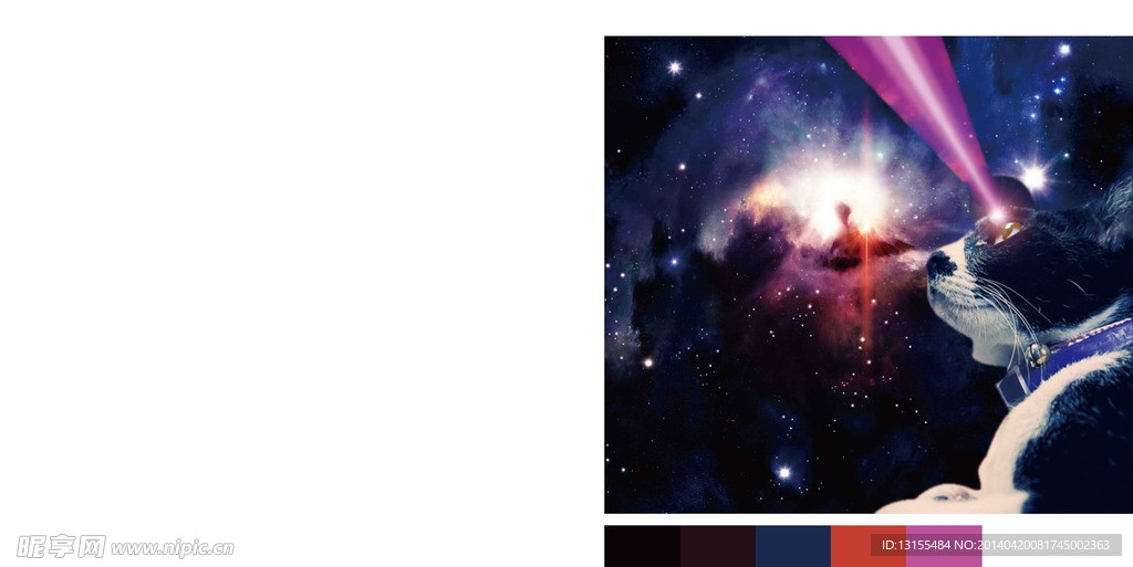 超现实 夸张 猫