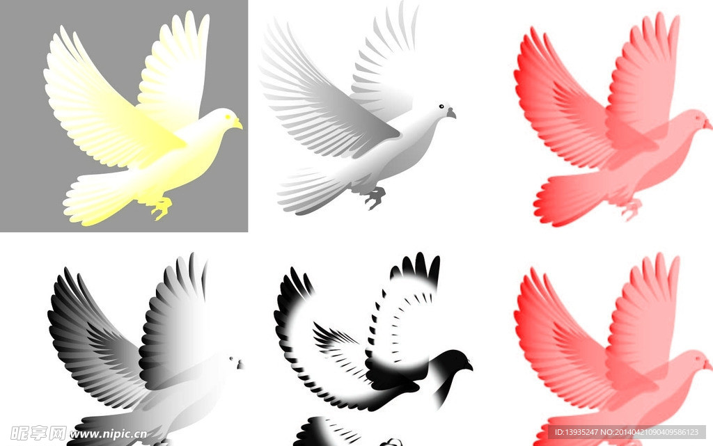 鸽子素材下载 鸽子模