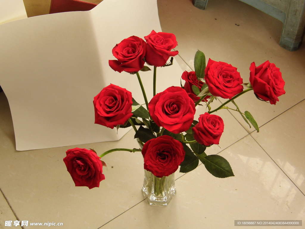 玫瑰花 红花 爱情