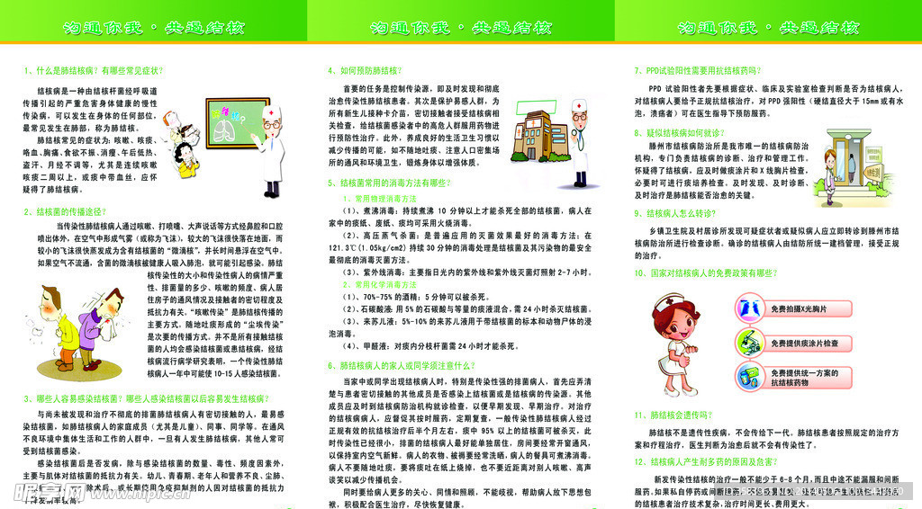 结核病三折页反
