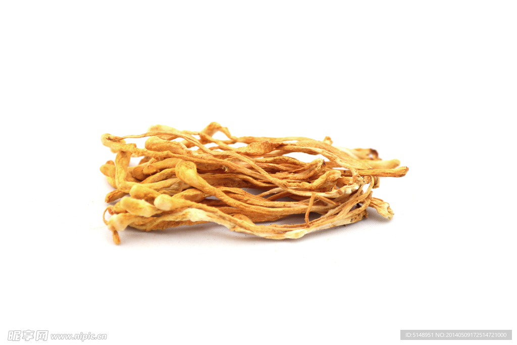 虫草花 虫草 冬虫夏