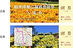 百合花节入场券