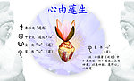 心由莲生
