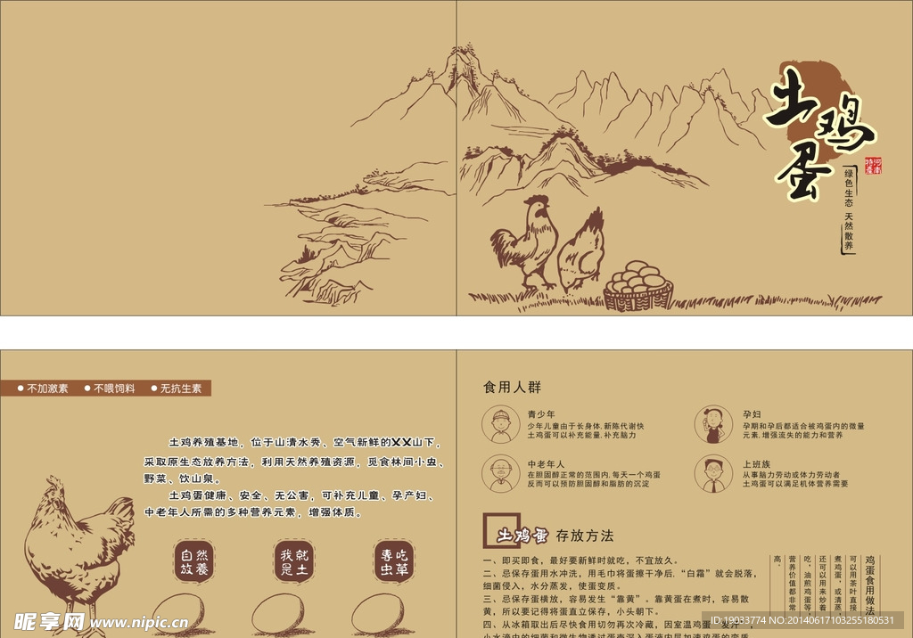 土鸡蛋两折页