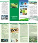 斛铁皮石斛四折