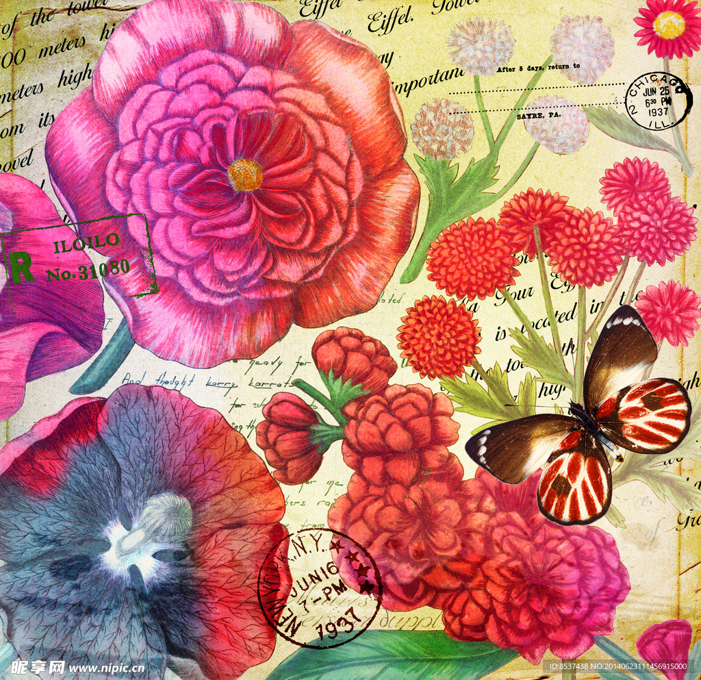 花卉 蝴蝶  无框画