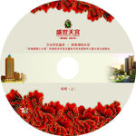 CD光盘封面设计