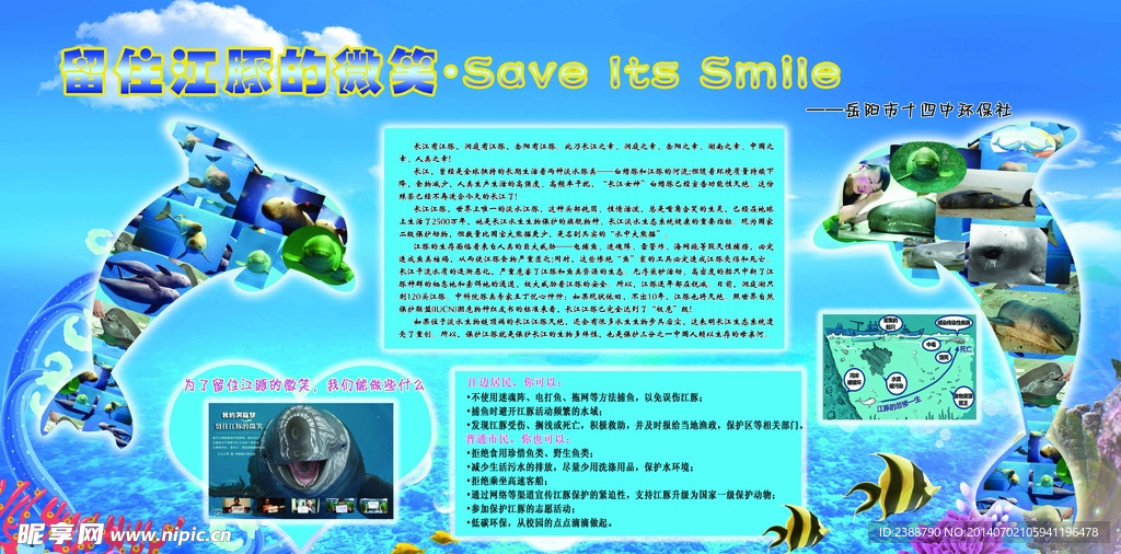 环保保护动物宣传栏