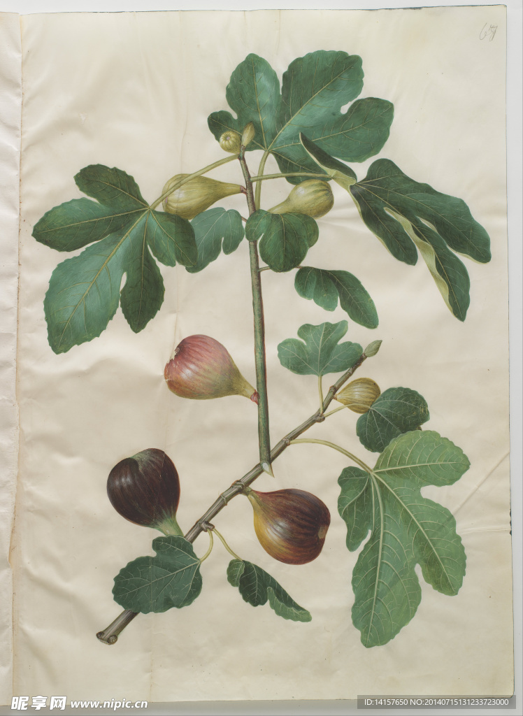 美克美家复古装饰画图片