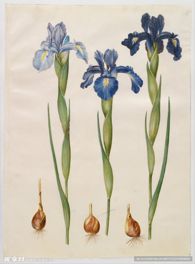 美克美家复古装饰画图片