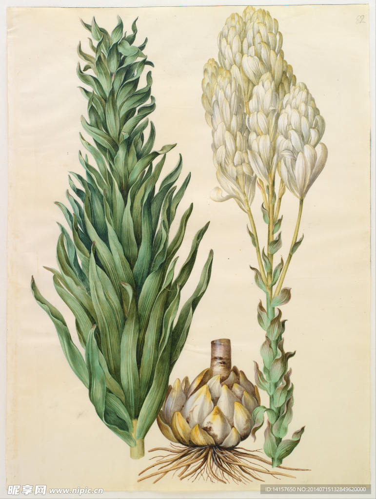 美克美家复古装饰画图片