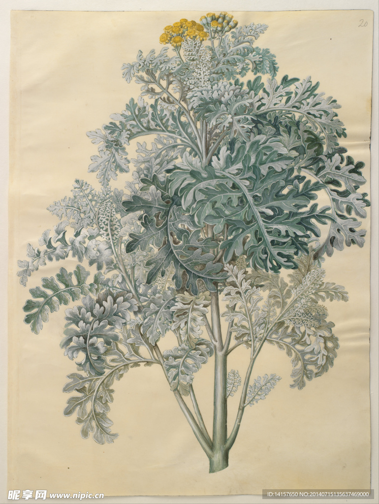 美克美家复古装饰画图片