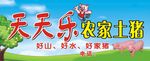 农家土猪  猪肉店招牌