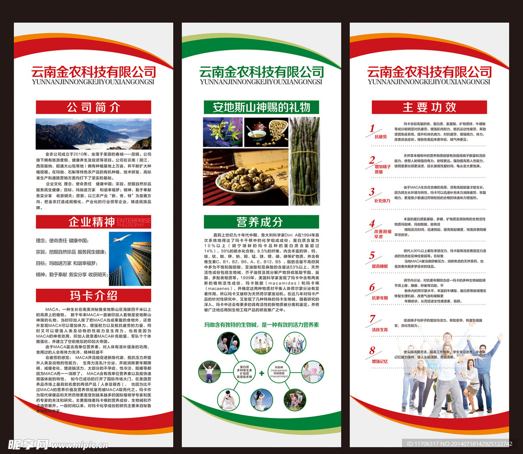 展架模板 易拉宝模板