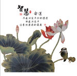 荷花 励志名言 励志 