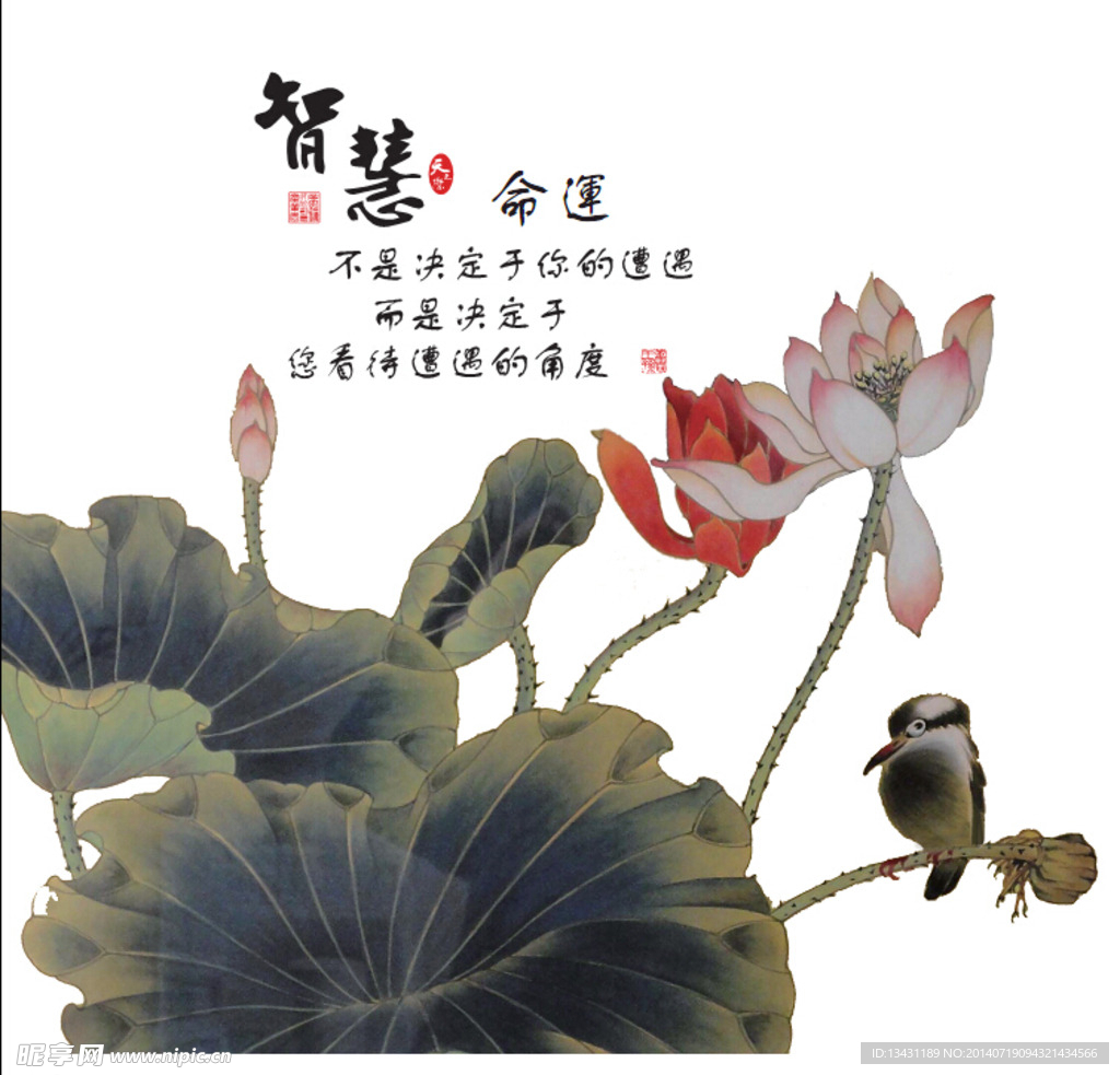 荷花 励志名言 励志 