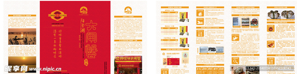 大闸蟹四折页