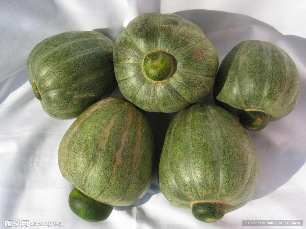 灯笼红香瓜甜瓜