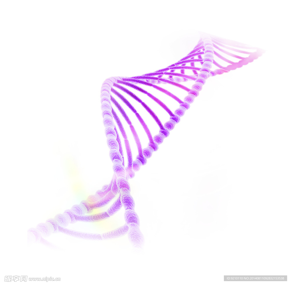 DNA   生物  肽链