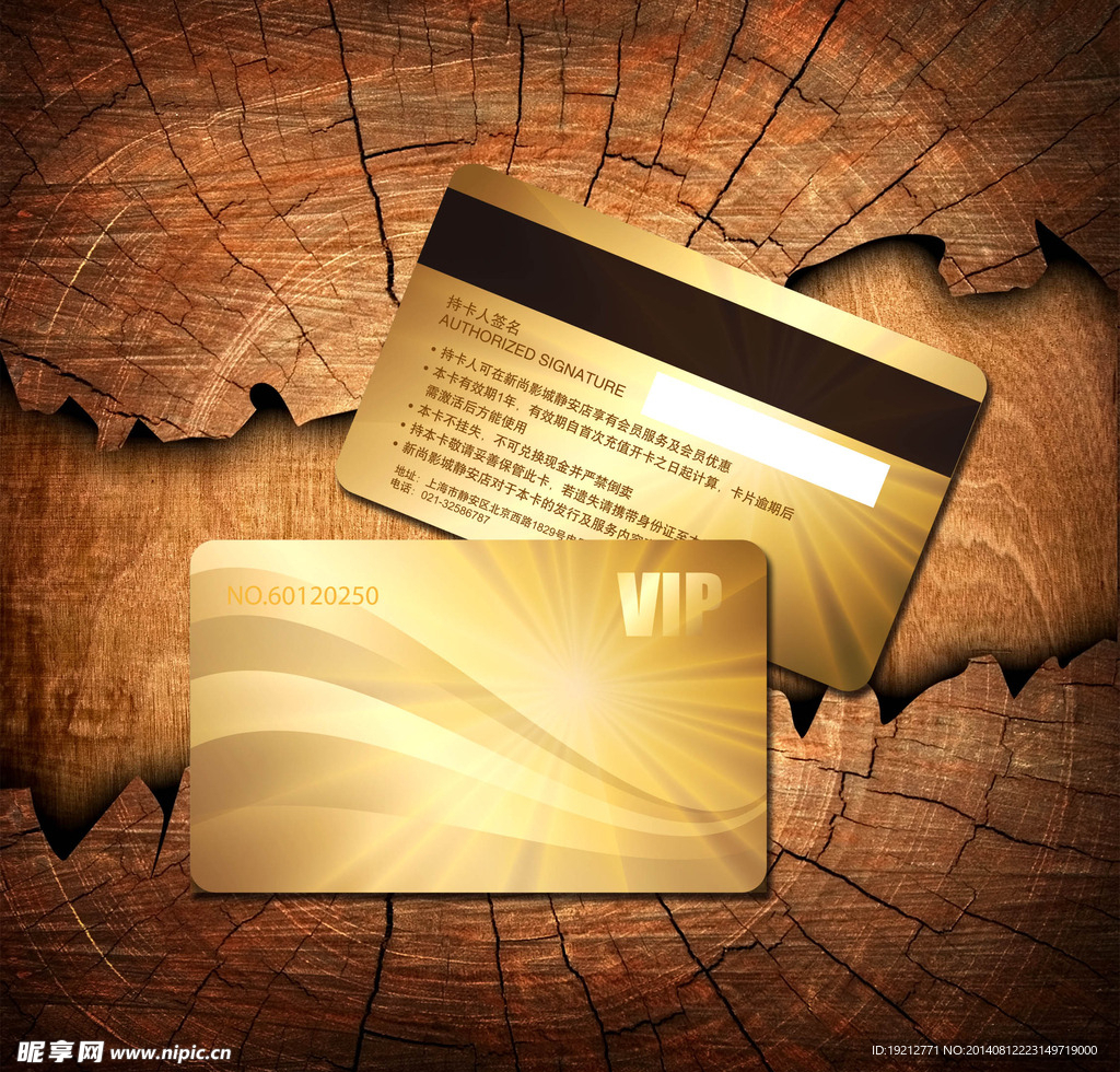 金色影楼艺术摄影会员