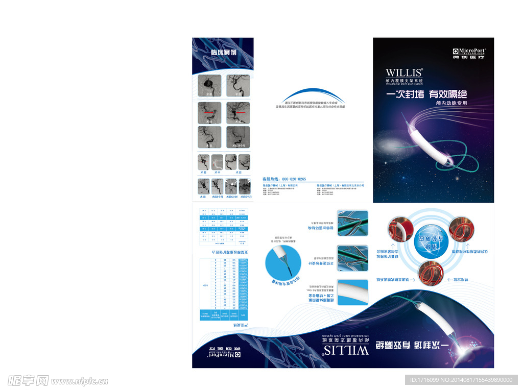 颅内动脉支架系统