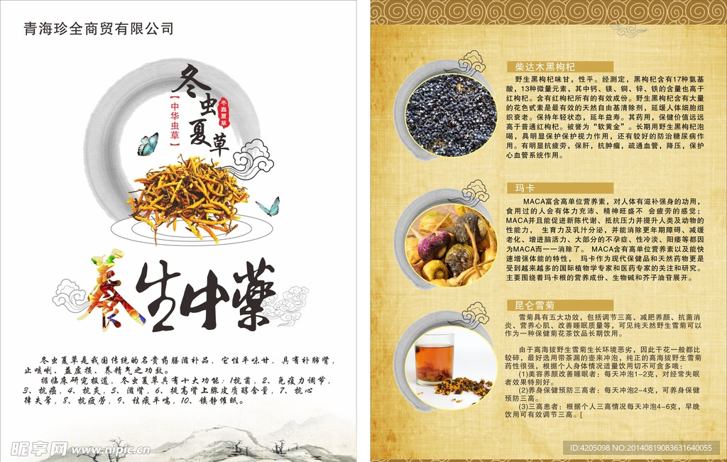 虫草宣传单