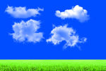 蓝天白云 草地