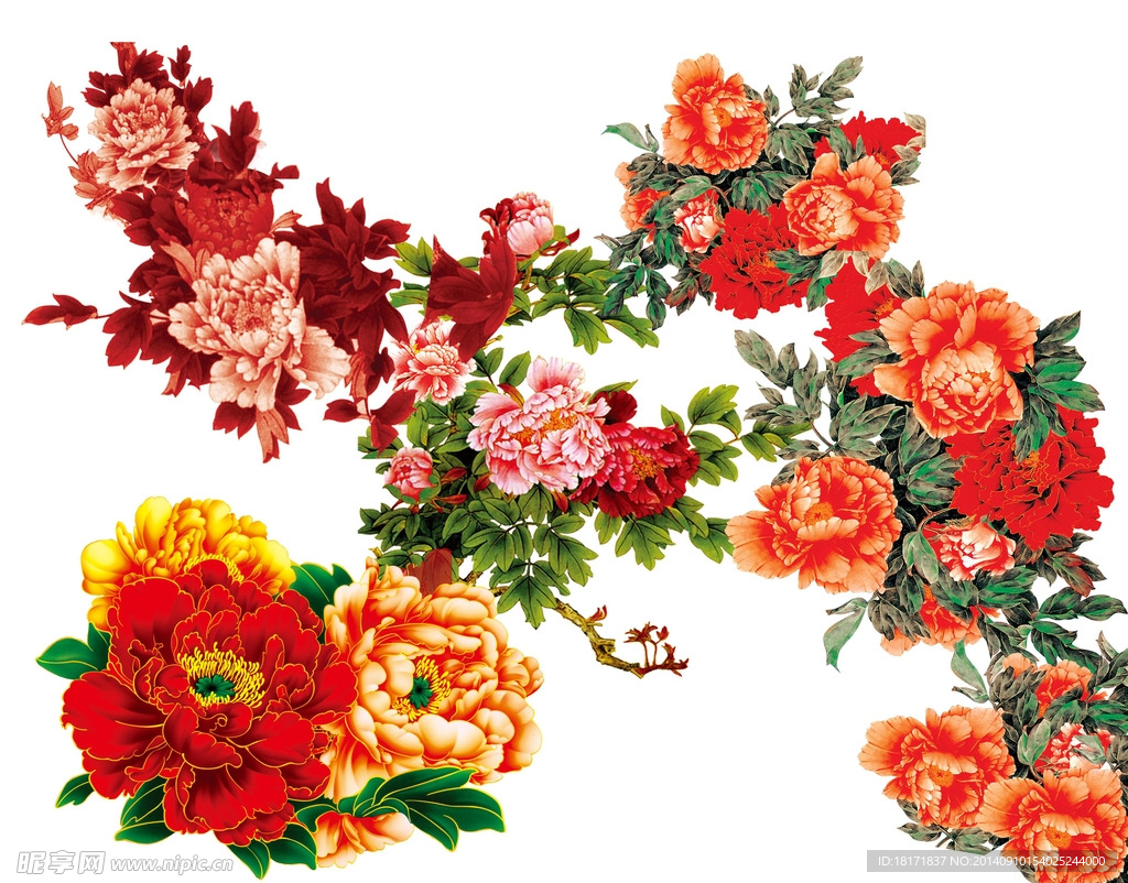 国画水墨牡丹花