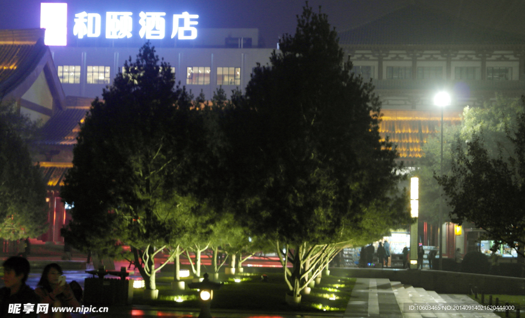 城市夜景 广场绿化