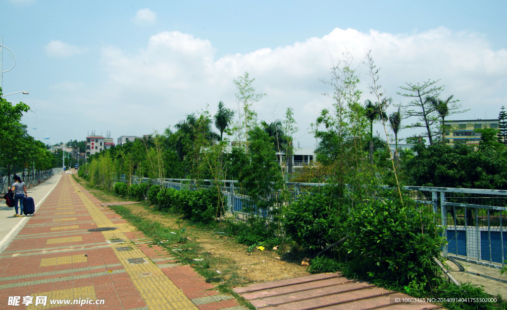 城市交通绿化工程