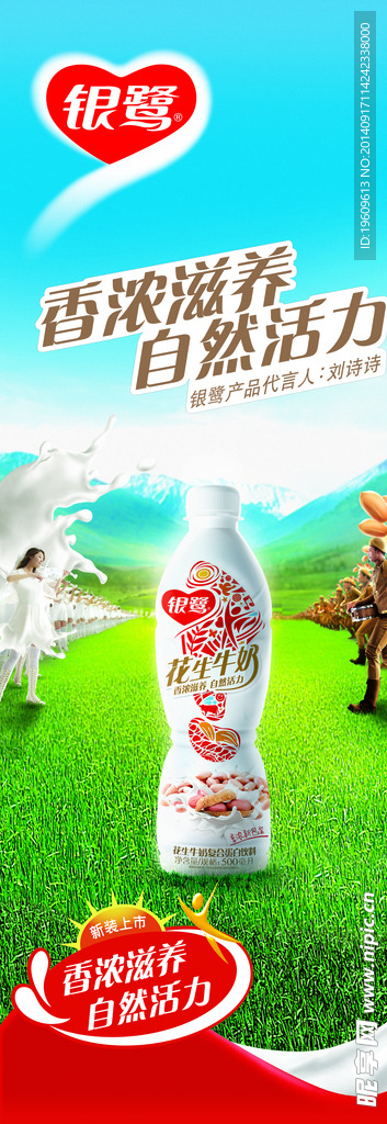 新银鹭花生牛奶展架