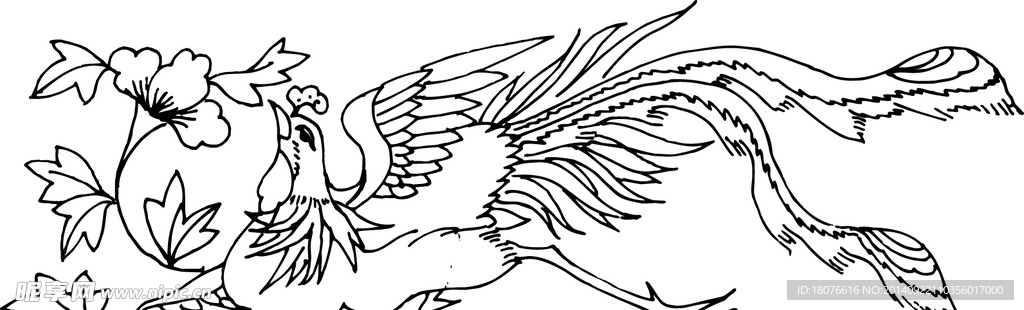 凤凰 飞鸟 矢量线稿 