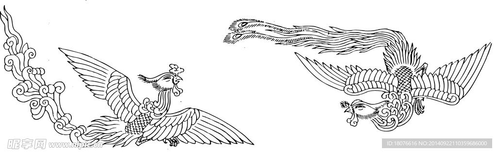 凤凰 鸟 飞鸟 矢量线