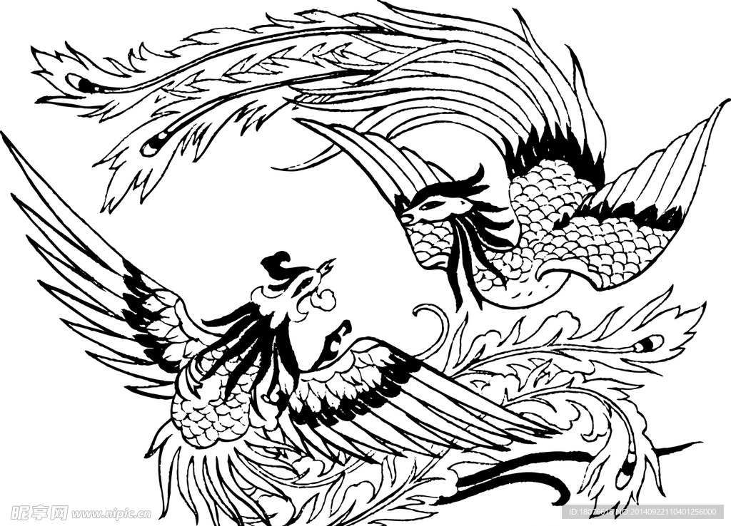 凤凰 鸟 孔雀 矢量线