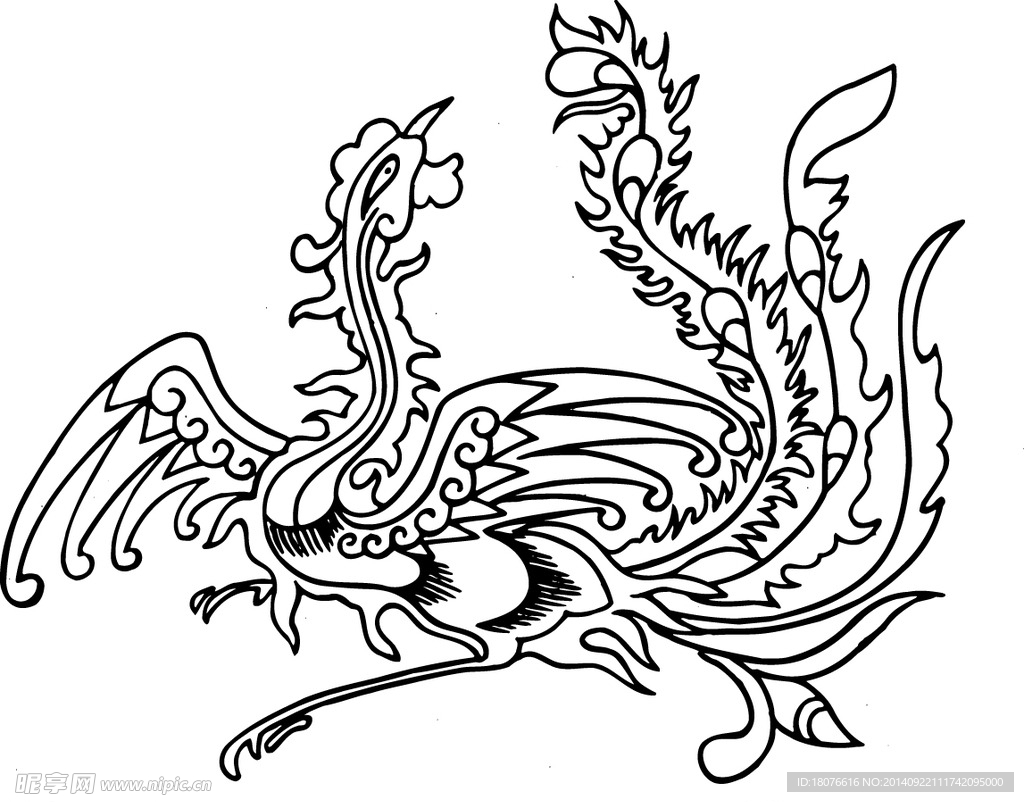 凤凰 鸟 飞鸟 矢量线
