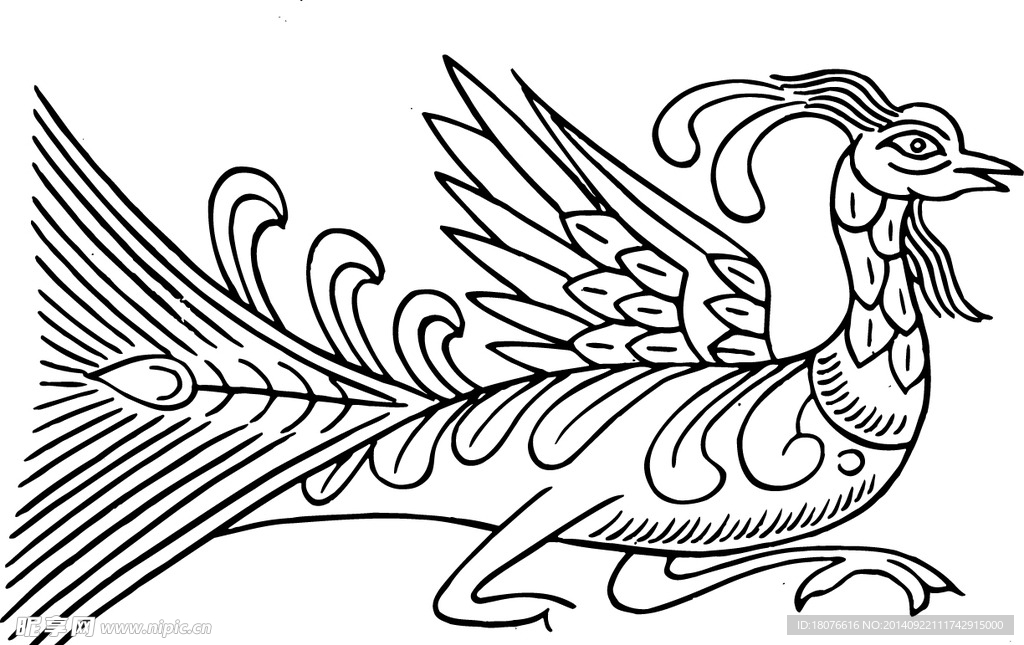凤凰 鸟 飞鸟 矢量线