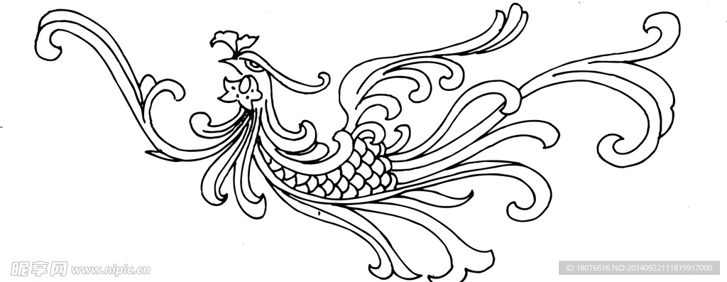 凤凰 鸟 飞鸟 矢量线