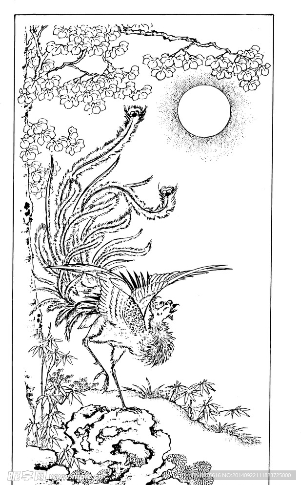 鸟 飞鸟 凤凰 矢量线