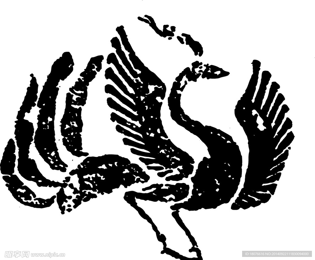 鸟 飞鸟 凤凰 矢量线