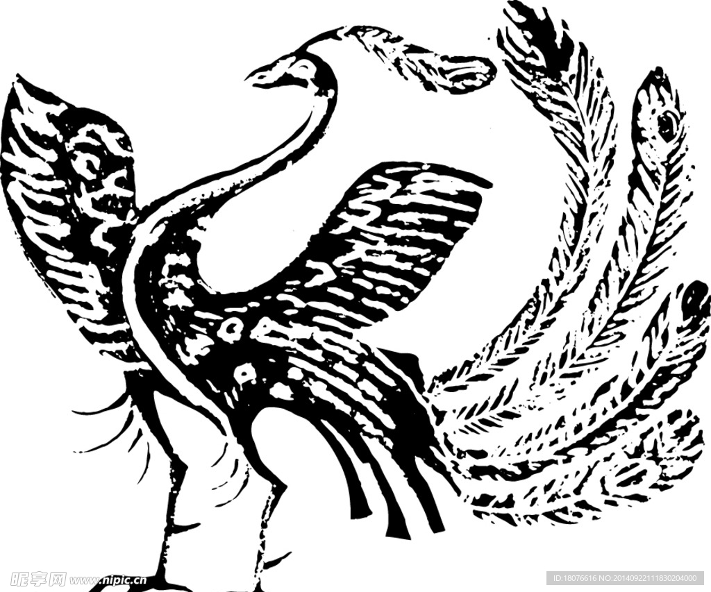 鸟 飞鸟 凤凰 矢量线