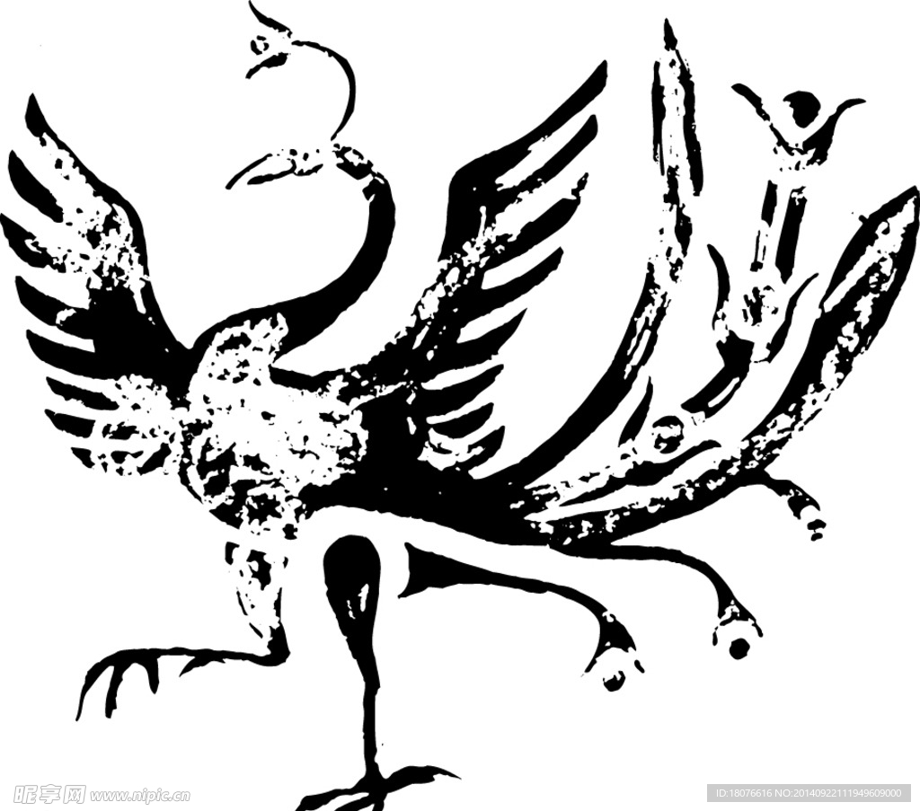 鸟 飞鸟 凤凰 矢量线