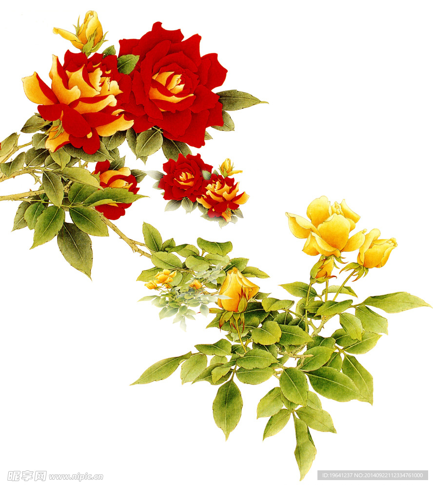 喷绘牡丹花图片