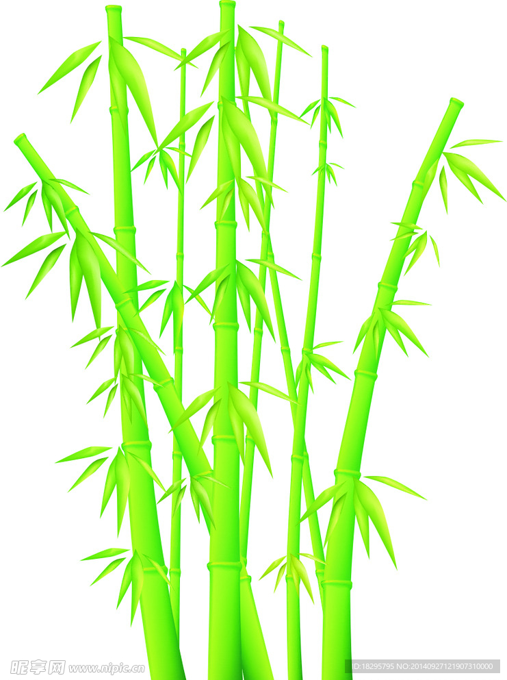 竹子矢量图