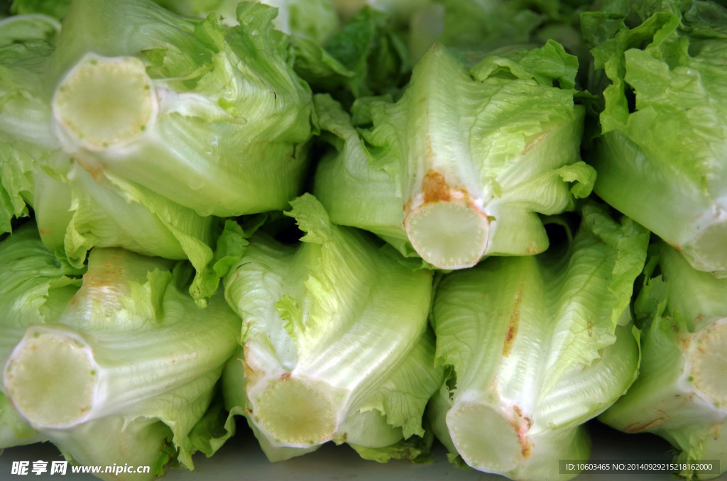 蔬菜桌面图 生菜