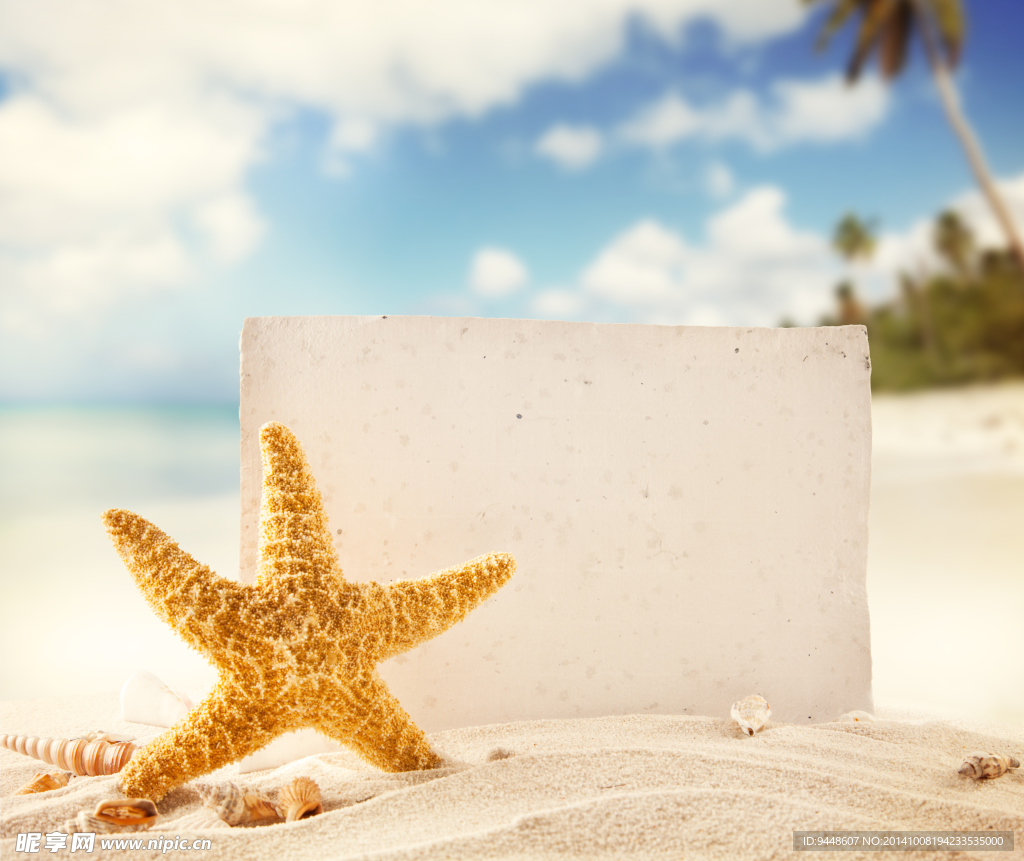 沙滩海星空白卡片图片
