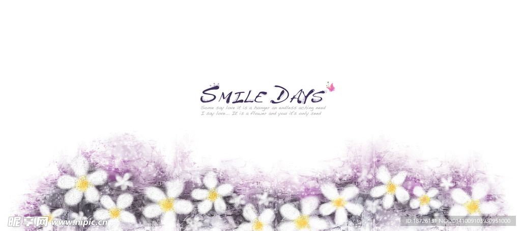 韩国花 紫色 小碎花 