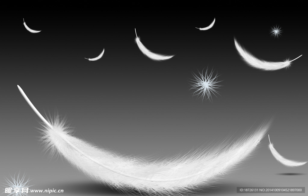 轻盈 羽毛 梦幻