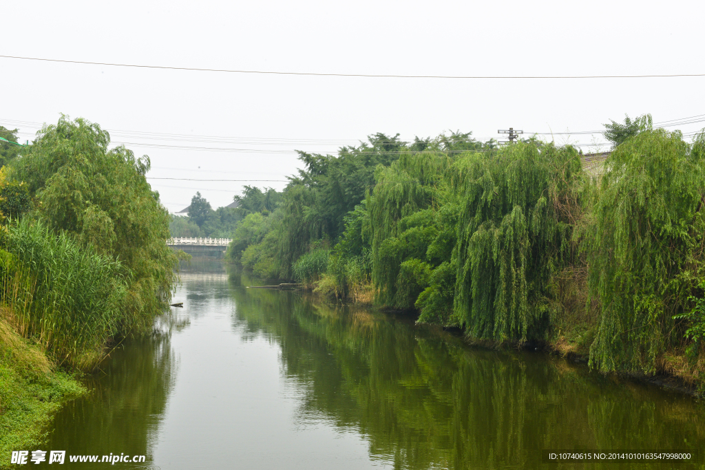 泰兴姚王镇毛庄村