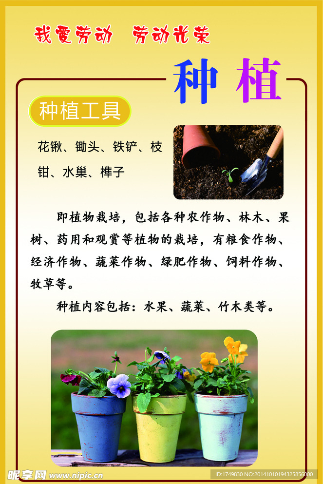 种植 综合实践活动