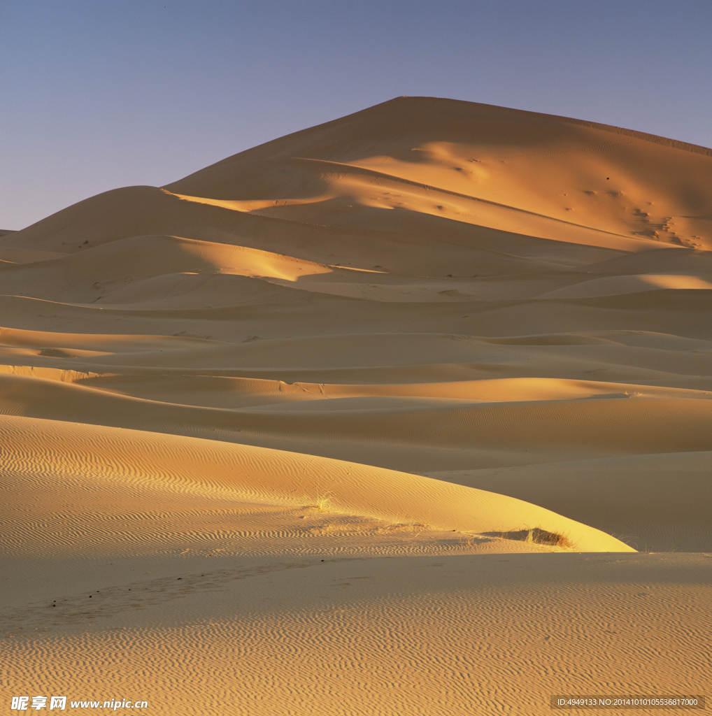 沙漠风光 库布齐沙漠 